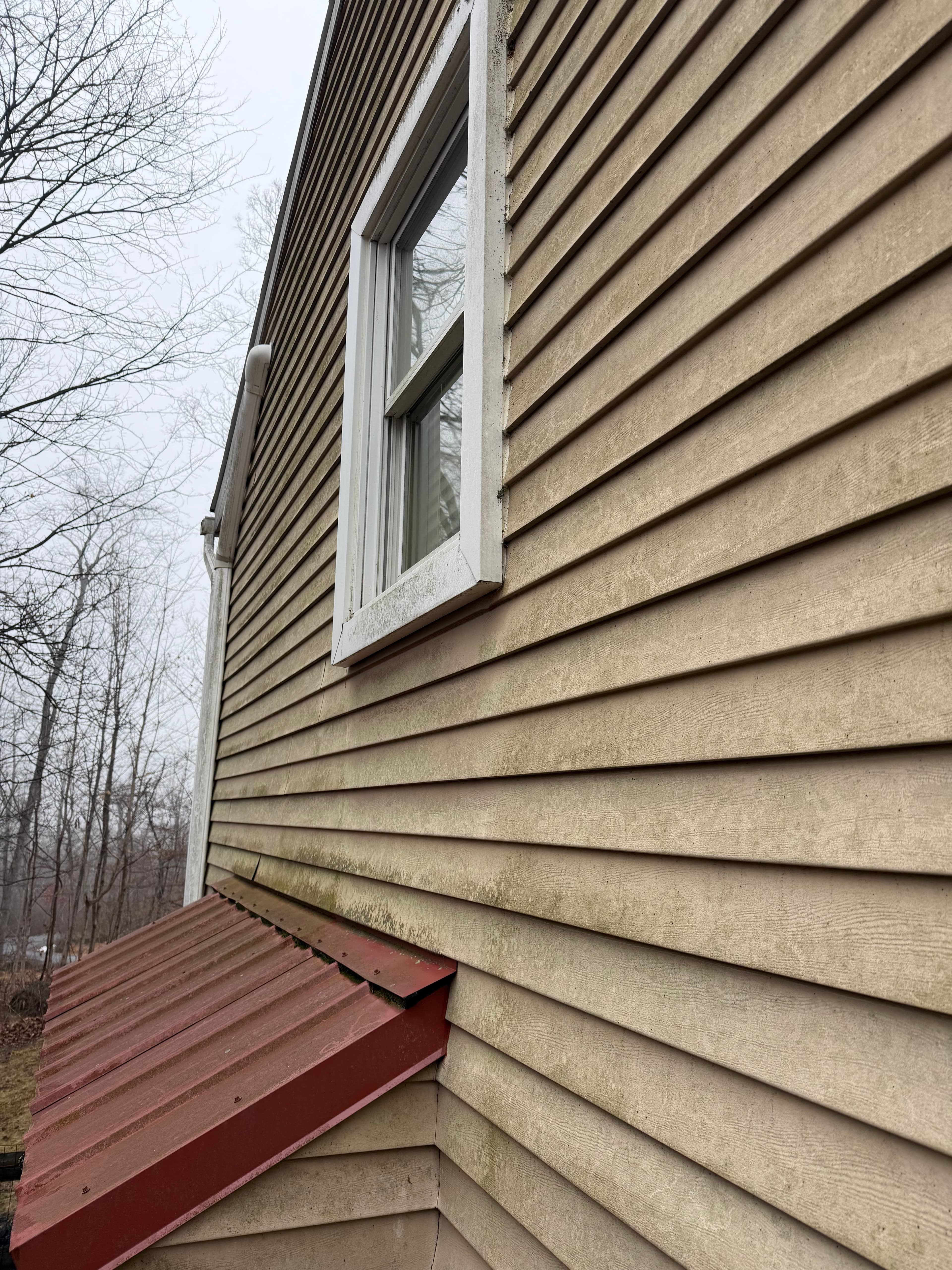 Vinyl Siding — before