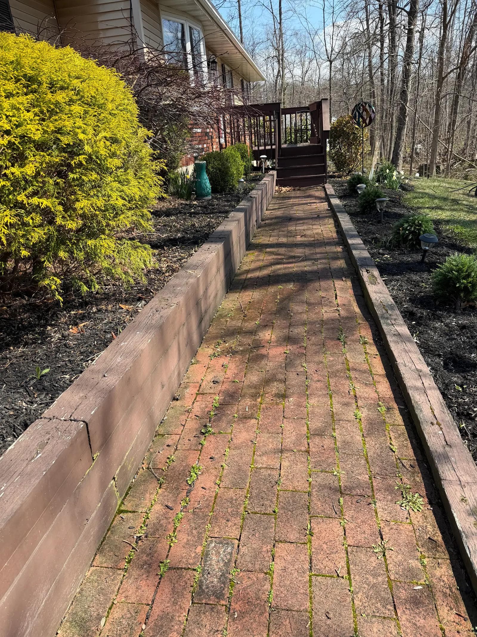 Brick Walkway — before