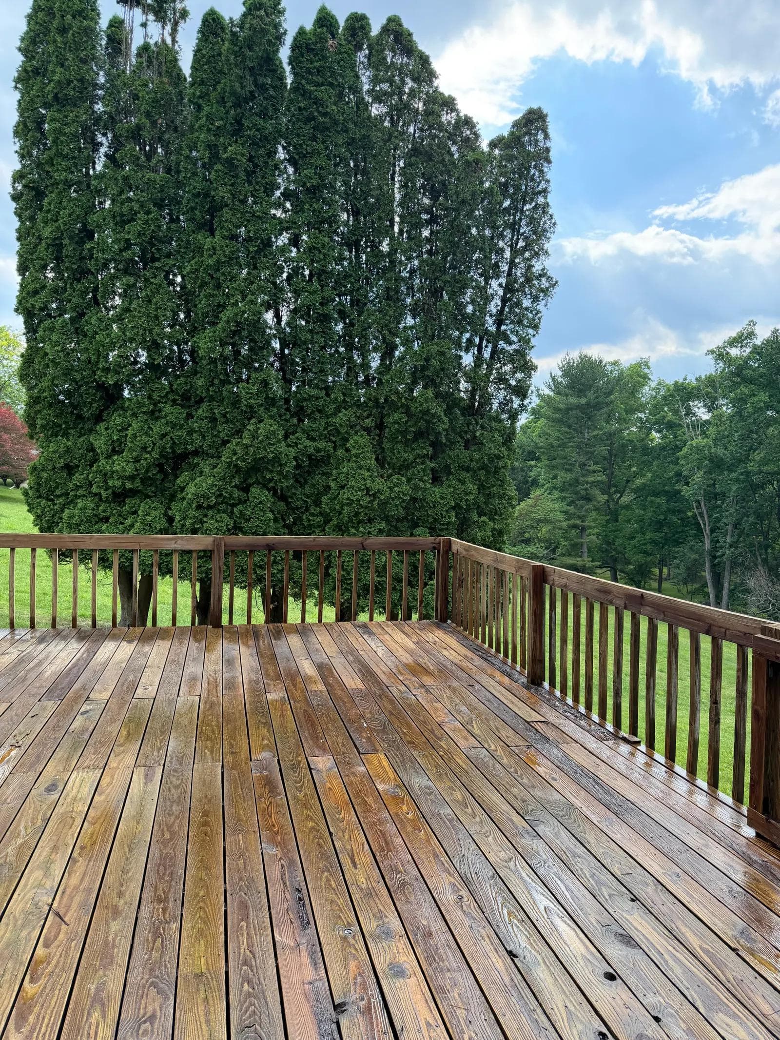 Deck Surface Restoration — after